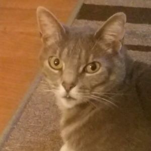 Meet your Posher, Jake